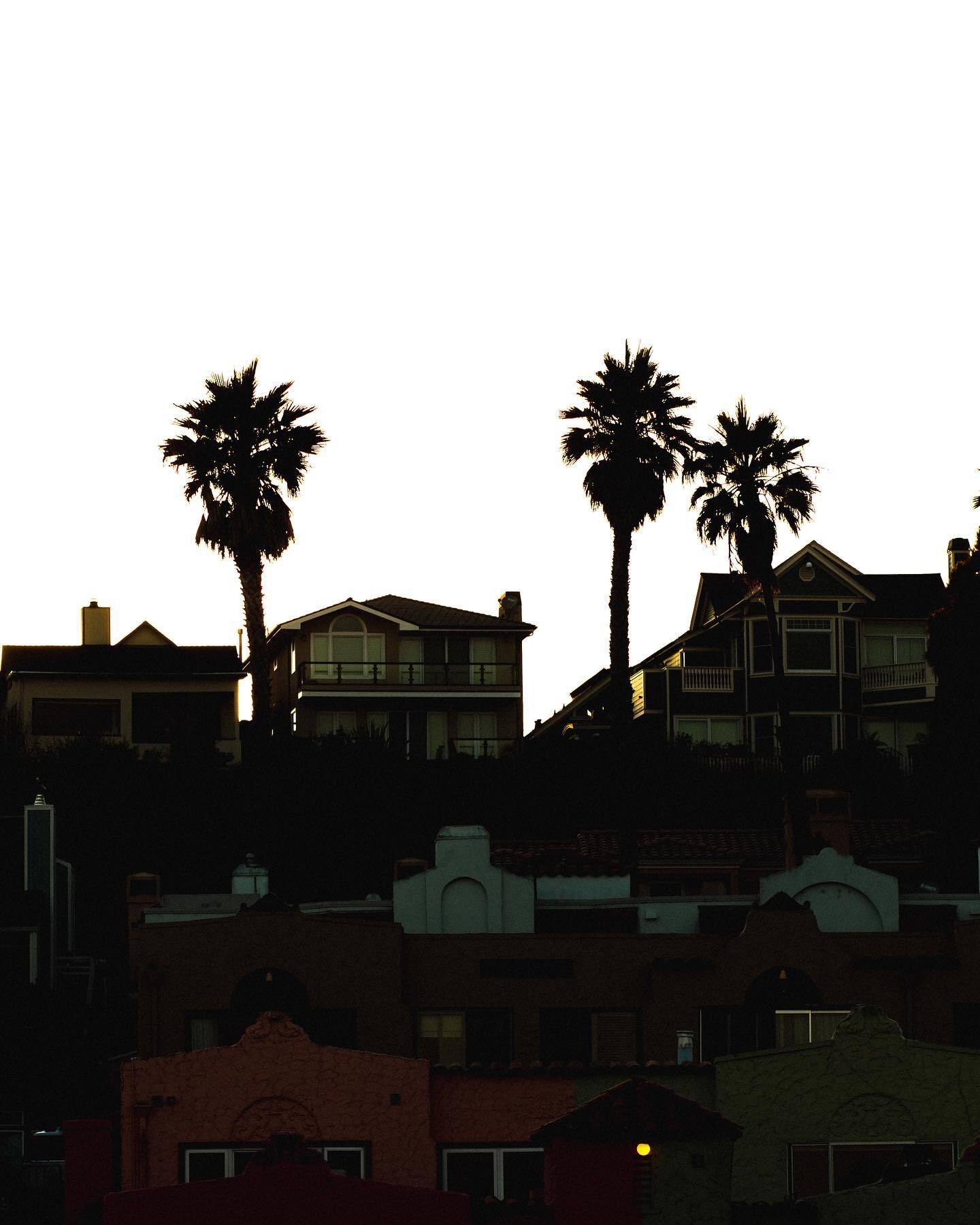 Palm trees and rooftops in silhouette at dusk